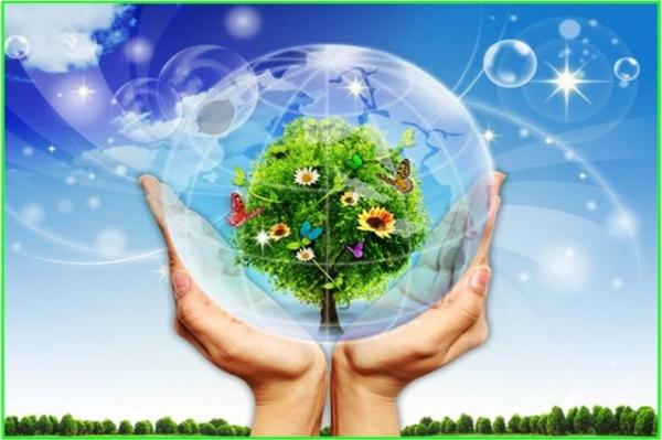 Triển khai giải pháp trọng tâm để tăng sức chống chịu biến đổi khí hậu
